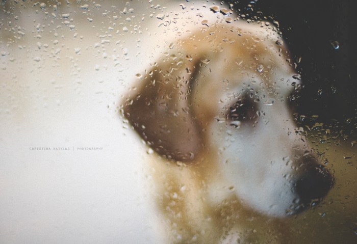 LifeinLoud_Christina_Week4