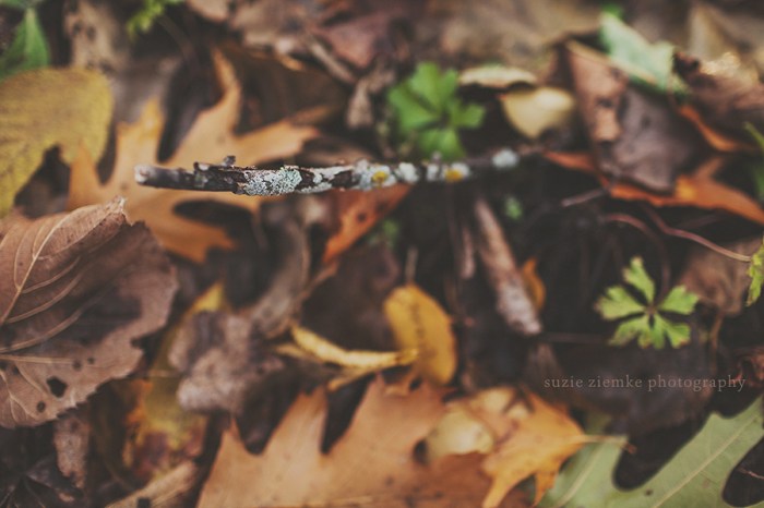 LifeinLoud_Suzie_Week10