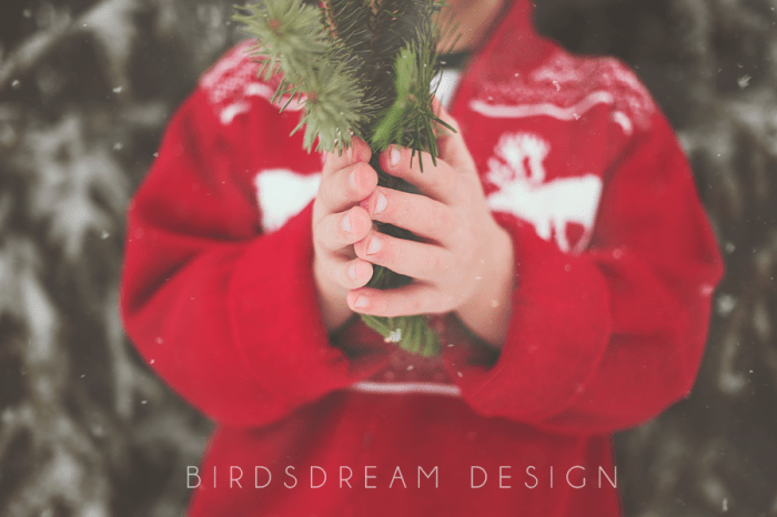 LifeinLoud_Amanda_Week15