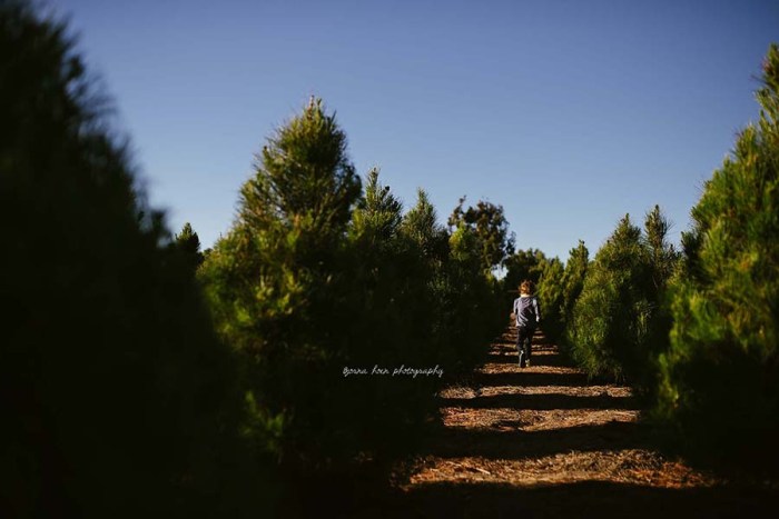 LifeinLoud_Bjorna_Week15