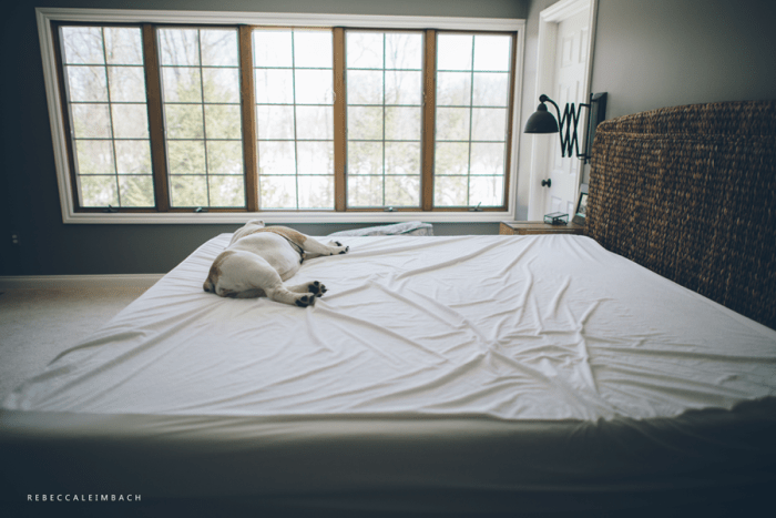 LIL_RebeccaLeimbach_Week29