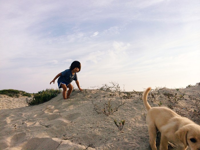 Bjornaiphonelilweek72