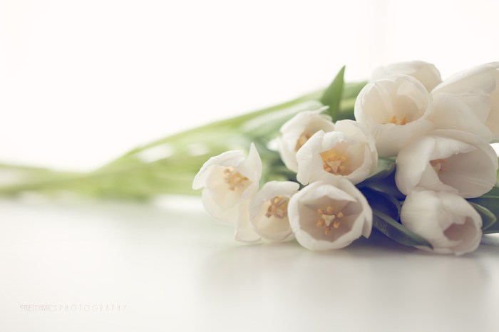 JennMartinSpangenberg_LIL_03.10.2015