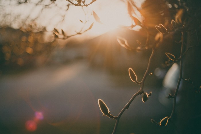 holly_donovan_lilw85