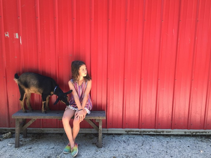 Photo Aug 03, 1 41 35 PM