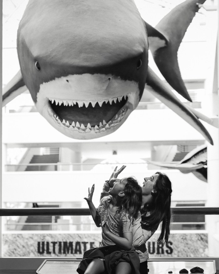 juli_september (1 of 1)